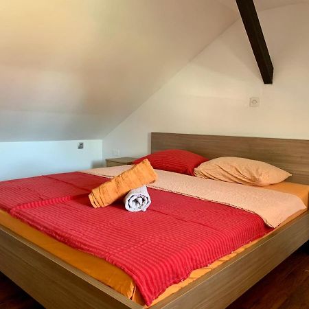 מלון לובליאנה Peachy House Bezigrad מראה חיצוני תמונה